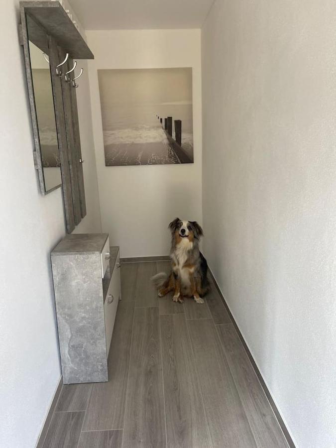 Appartement Pferdehof Simon à Binscheid Extérieur photo